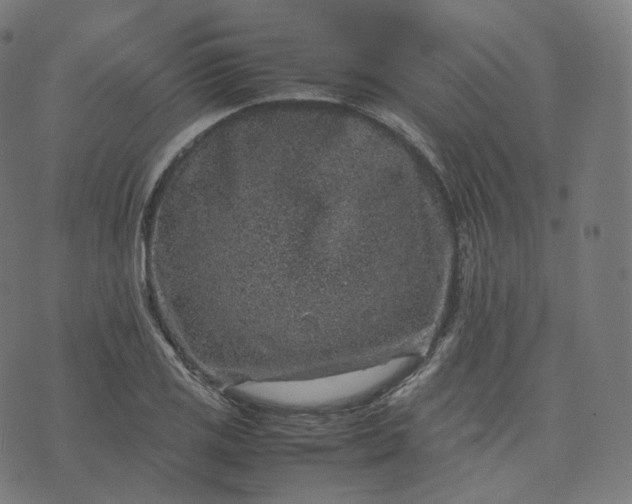 X0000070371125200606231640