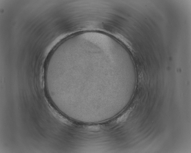 X0000070371126200606231640