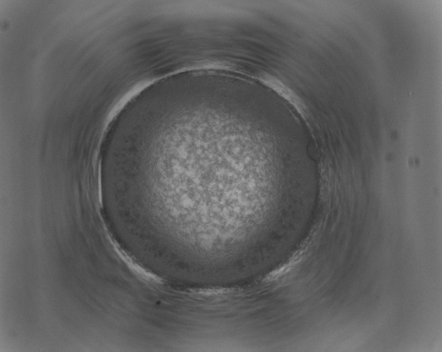 X0000070371127200606231640