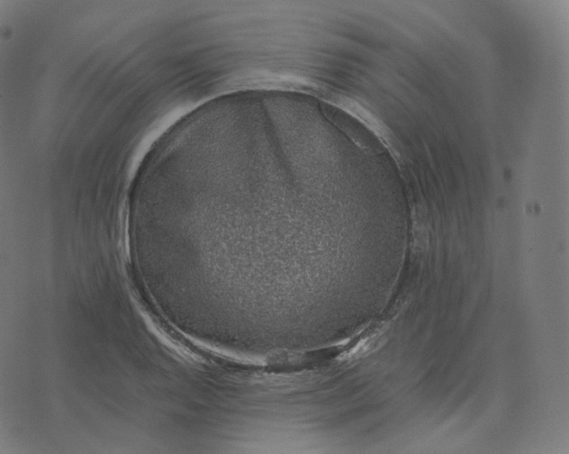 X0000070371128200606231640