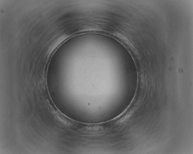 X0000070371129200606231640