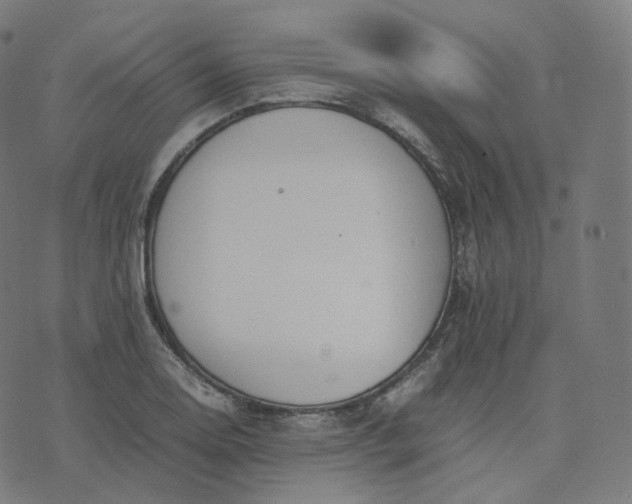 X0000070371130200606231640