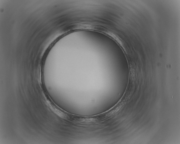 X0000070371131200606231641