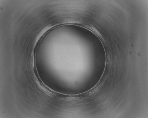 X0000070371132200606231641