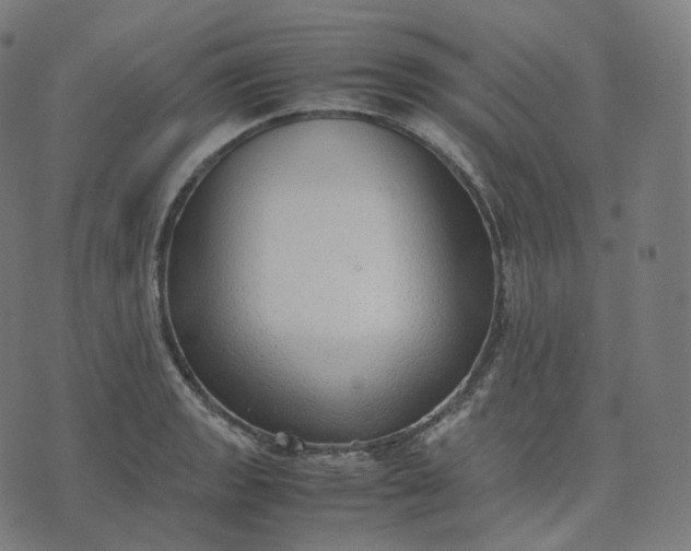 X0000070371133200606231641