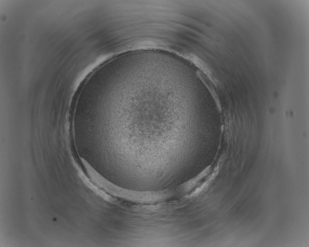 X0000070371134200606231641