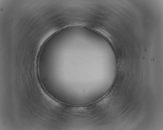 X0000070371135200606231641