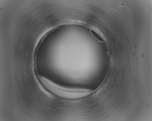 X0000070371136200606231641