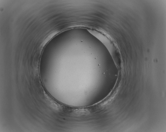 X0000070371137200606231641