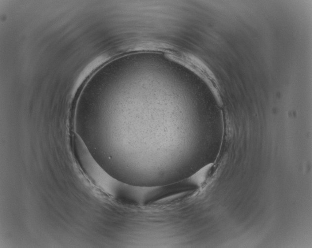 X0000070371138200606231641