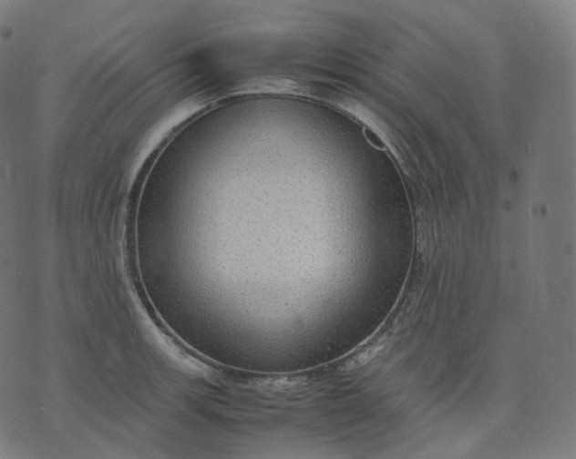 X0000070371139200606231641