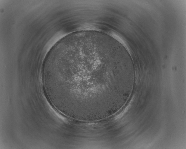 X0000070371141200606231641