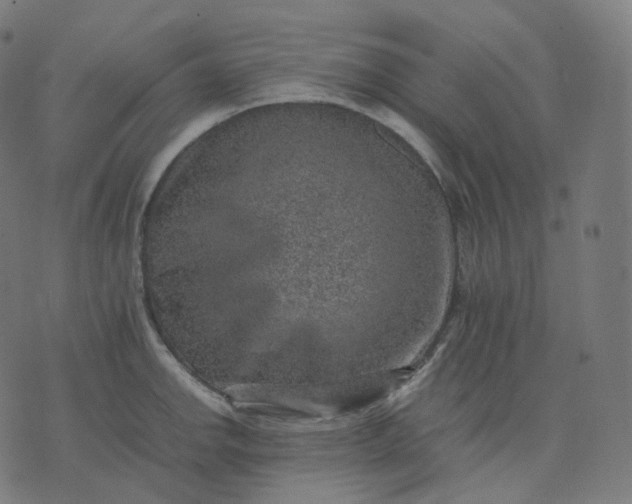 X0000070371142200606231641