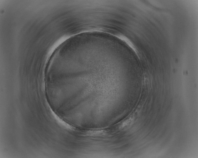 X0000070371143200606231641