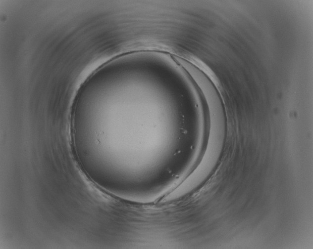 X0000070371144200606231641