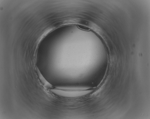 X0000070371145200606231641