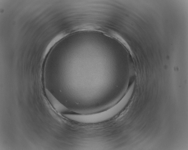 X0000070371146200606231641