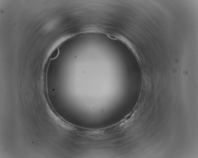 X0000070371147200606231641