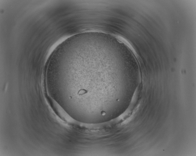 X0000070371149200606231641