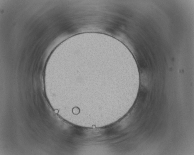 X0000070371150200606231641