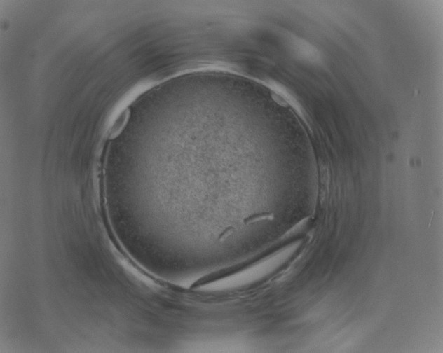 X0000070371151200606231641