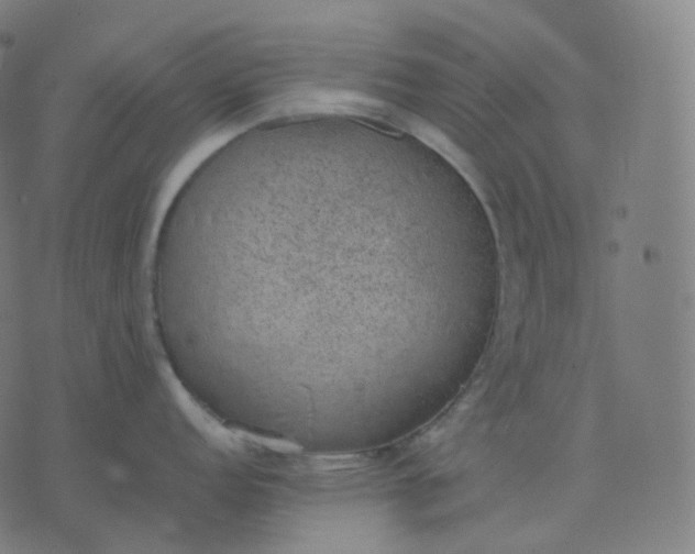 X0000070371152200606231641