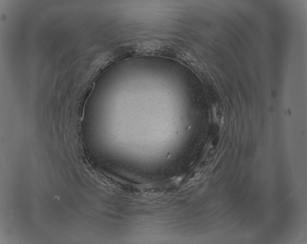 X0000070371153200606231640