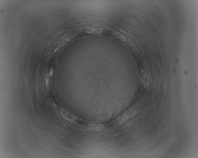 X0000070371154200606231640