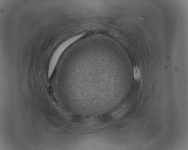 X0000070371155200606231640