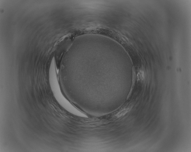 X0000070371156200606231640