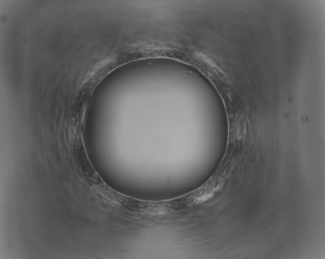 X0000070371157200606231640