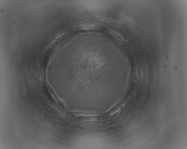 X0000070371158200606231640