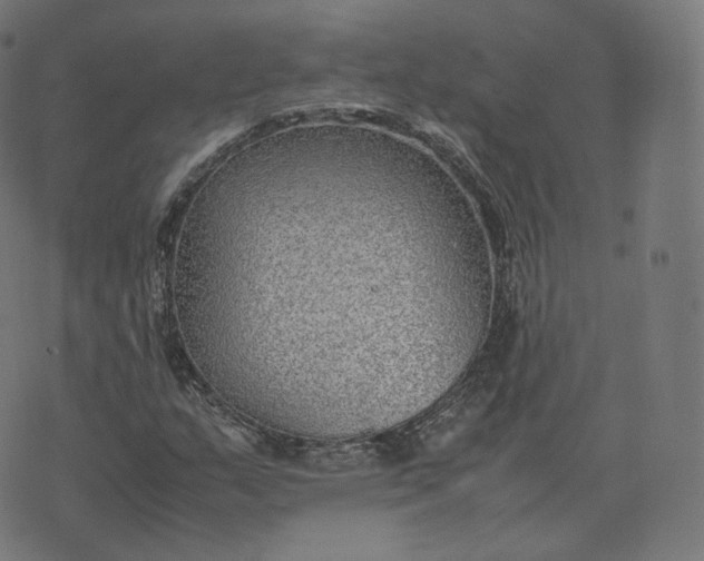 X0000070371159200606231640