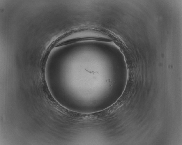 X0000070371160200606231640