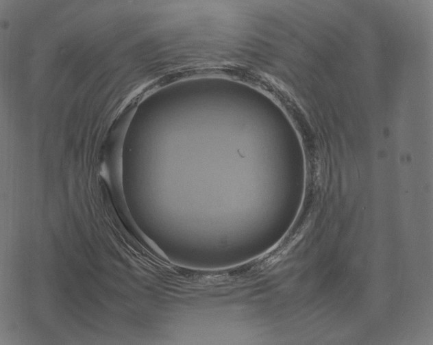 X0000070371161200606231640