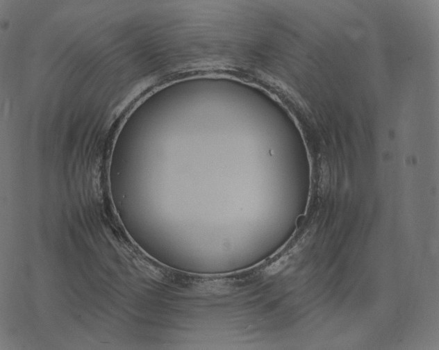 X0000070371162200606231640