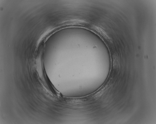 X0000070371164200606231640