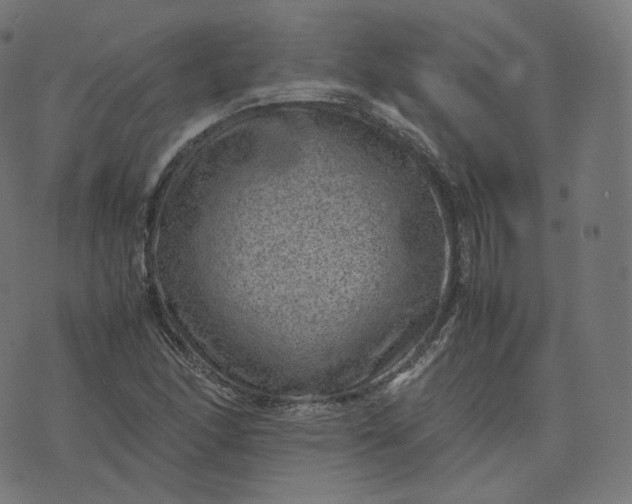 X0000070371166200606231640