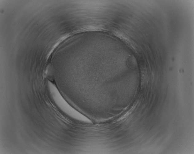 X0000070371170200606231640