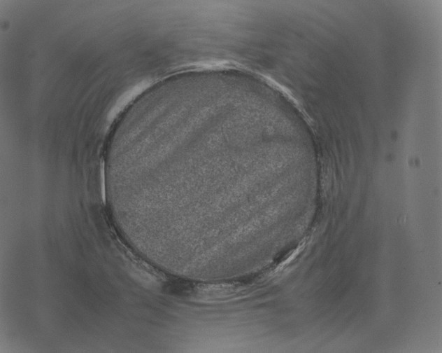 X0000070371171200606231640