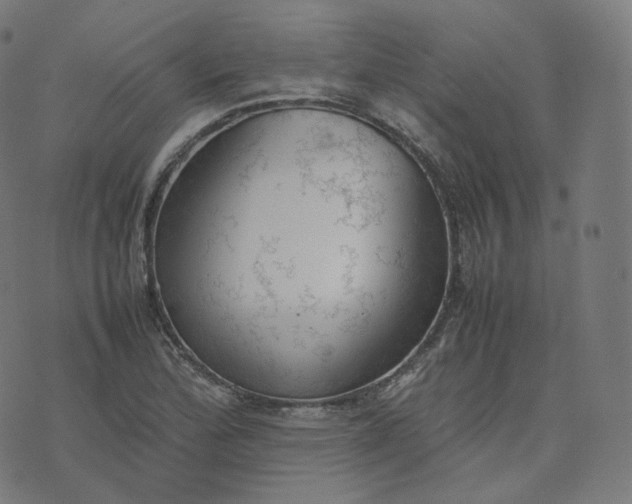 X0000070371172200606231640