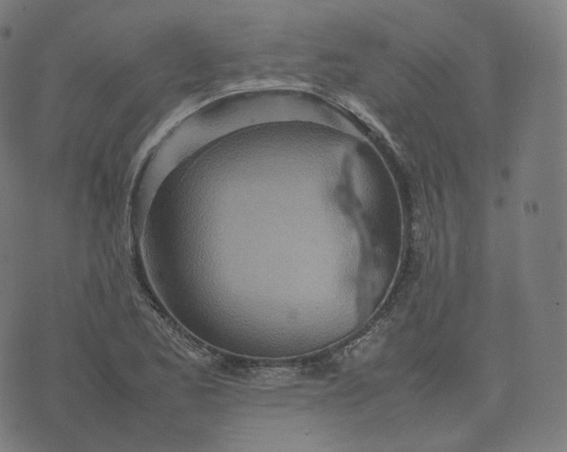 X0000070371173200606231640