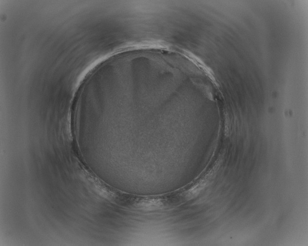 X0000070371174200606231640