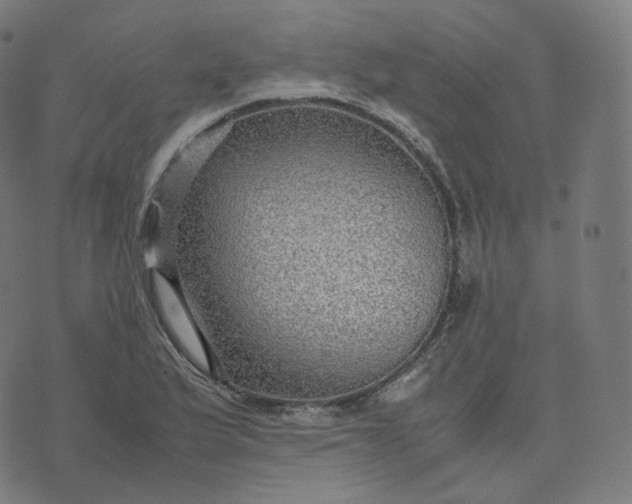 X0000070371175200606231640