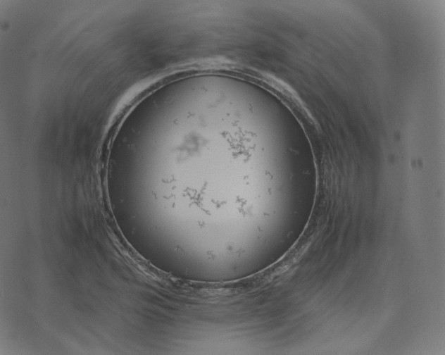 X0000070371176200606231640