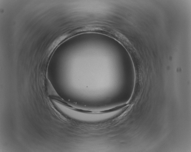 X0000070371177200606231640