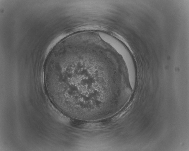 X0000070371179200606231640