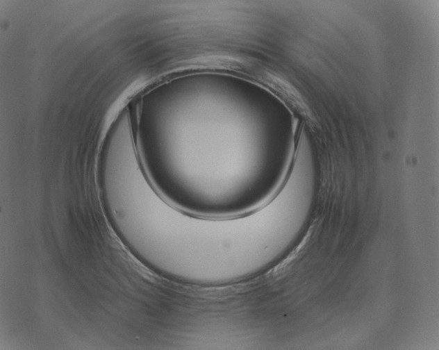 X0000070371180200606231640