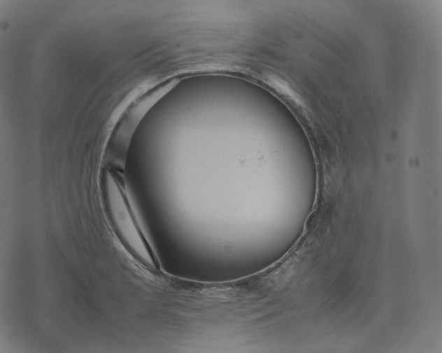 X0000070371181200606231640