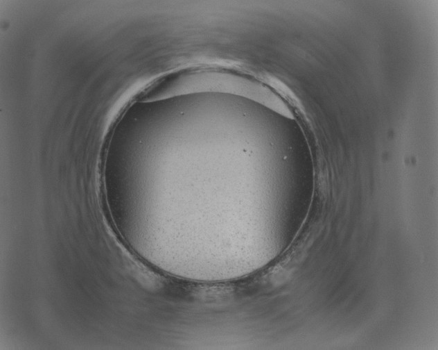 X0000070371183200606231640